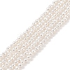Electroplated Shell Pearl Beads Strands BSHE-C006-05B-1