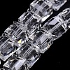 Faceted Cube Shaped Crystal Glass Beads Strands GLAA-F008-F01-1