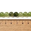 Dyed Natural Malaysia Jade Beads Strands G-G021-02B-14-3