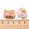 Opaque Resin Decoden Cabochons RESI-F052-B02-3