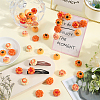48Pcs 6 Styles Opaque Resin Imitation Food Decoden Cabochons CRES-SC0002-84-4