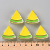 Transparent Enamel Acrylic Beads TACR-S155-001H-4