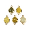 Natural Korean Jade Faceted Connector Charms G-L514-048P-06-1