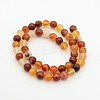 Natural Red Agate Dyed Round Bead Strands G-P070-20-8mm-2
