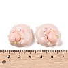 Opaque Resin Decoden Cabochons LS-RESI-K040-01C-3
