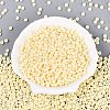 Opaque Glass Seed Beads SEED-N012-09A-02-2