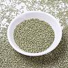 MIYUKI Delica Beads SEED-JP0008-DB1181-2