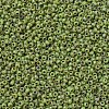 MIYUKI Round Rocailles Beads SEED-G007-RR4515-3