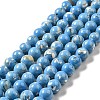 Synthetic Turquoise and Sea Shell Assembled Beads Strands G-D482-01B-04-2