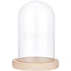 Glass Dome Cover ODIS-WH0010-41B-1