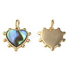 Synthetic Abalone Shell/Paua Shell Charms X-KK-N233-216-1