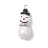 Handmade Lampwork Pendants PALLOY-JF04350-02-1