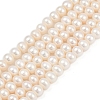 Natural Cultured Freshwater Pearl Beads Strands PEAR-I007-07X-13D-2
