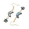 Natural Paua Shell Dangle Earrings for Women EJEW-JE07077-5