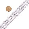 Frosted Natural Howlite Bead Strands G-PH0028-8mm-01-3
