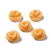 Opaque Resin Imitation Food Decoden Cabochons RESI-A033-05O-1