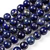 Natural Lapis Lazuli Round Beads Strands X-G-I181-09-10mm-1
