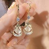 Teardrop Alloy Rhinestone Hoop Earrings FS-WG8F333-01-1
