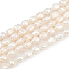 Natural Cultured Freshwater Pearl Beads Strands PEAR-P064-20G-01A-2
