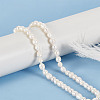 2 Strands Natural Cultured Freshwater Pearl Beads Strands PEAR-GO0001-14-4