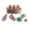 Glass Wishing Bottle Decorations STAS-CW0001-01-4