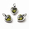 304 Stainless Steel Pendants STAS-D189-06P-04-1