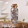 Glass Wishing Bottles PW-WG27717-16-1