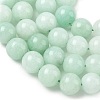 Dyed Natural Malaysia Jade Beads Strands G-G021-01D-11-3