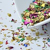 Plastic Candy Sequins/Paillette Chip DIY-I019-01N-1