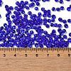 Transparent Colours Glass Seed Beads X1-SEED-P006-02A-16-4