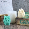 Owl Shape Candle DIY Food Grade Silicone Mold PW-WG70504-01-1