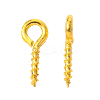 Iron Screw Eye Pin Peg Bails E562Y-G-1