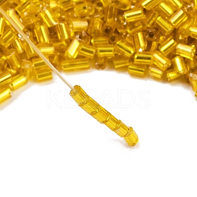 Two Cut Glass Seed Beads CSDB30-1