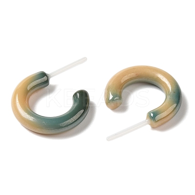 Hypoallergenic Bioceramics Zirconia Ceramic Stud Earrings EJEW-Z023-01K-02-1