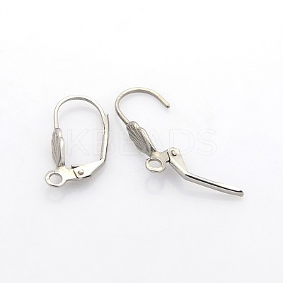 Tarnish Resistant 304 Stainless Steel Leverback Earring Findings STAS-N036-02-1