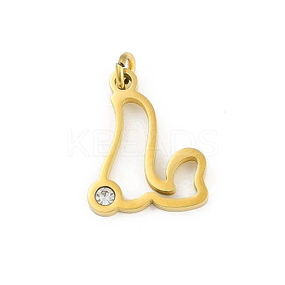 304 Stainless Steel Pendants STAS-R137-01G-L-1