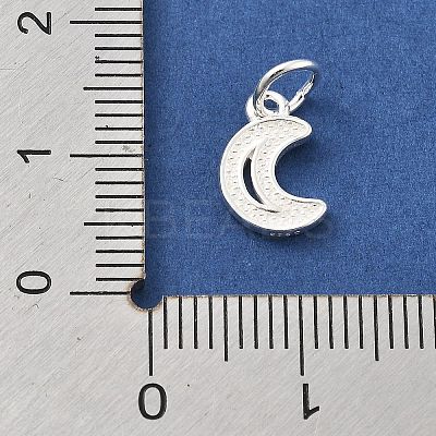 925 Sterling Silver Charms STER-S009-07B-S-1