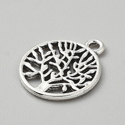 Tibetan Style Alloy Pendants FIND-WH0818-10AS-06-1