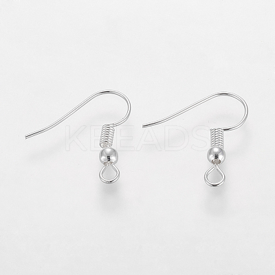 Grade A Silver Color Plated Iron Earring Hooks EC135-S-NF-1