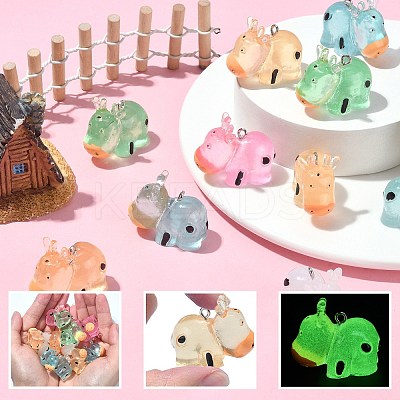 30Pcs 5 Colors Luminous Resin Pendants RESI-SZ0003-24-1