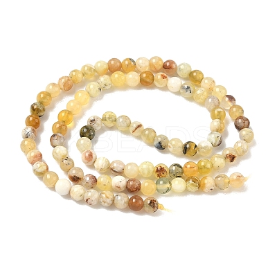 Natural Yellow Opal Beads Strands G-I213-18-4mm-1