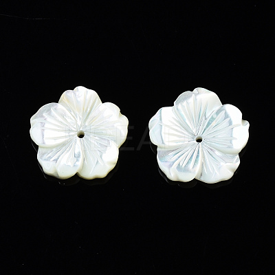 Natural White Shell Mother of Pearl Shell Beads SSHEL-T014-42B-1