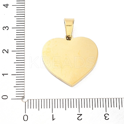 304 Stainless Steel Charms STAS-M341-01G-05-1