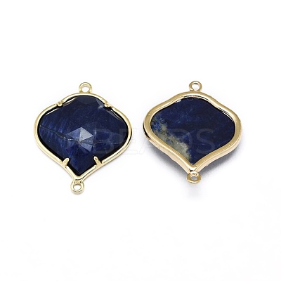 Natural Gemstone Links connectors G-L514-018-1