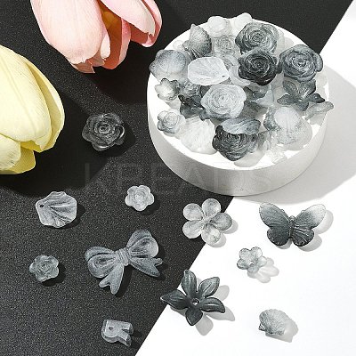 60G Transparent Acrylic Beads OACR-FS0001-90D-1