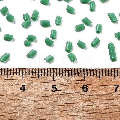 Two Cut Glass Seed Beads CSDB47-1