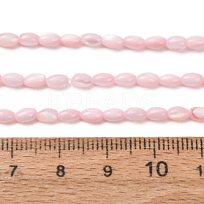 Dyed Natural Freshwater Shell Beads Strands SH-CBA2978-06D-1
