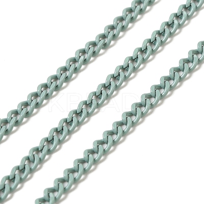 Spray Painted 304 Stainless Steel Curb Chains STAS-B067-05A-01-1