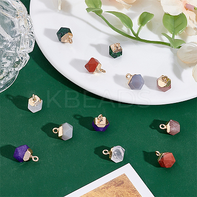 12Pcs 6 Styles Natural Ruby in Zoisite & Natural White Jade & Red Jasper & Grey Agate & Strawberry Quartz & Quartz Crystal Star Cut Round Charms G-HY0001-87-1