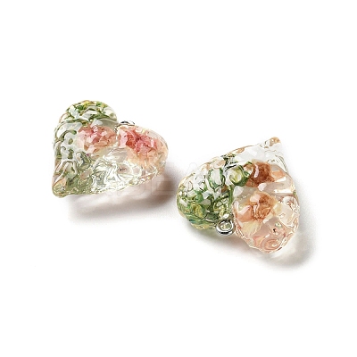 Inner Dried Flower Transparent Resin Pendants RESI-A043-03C-1